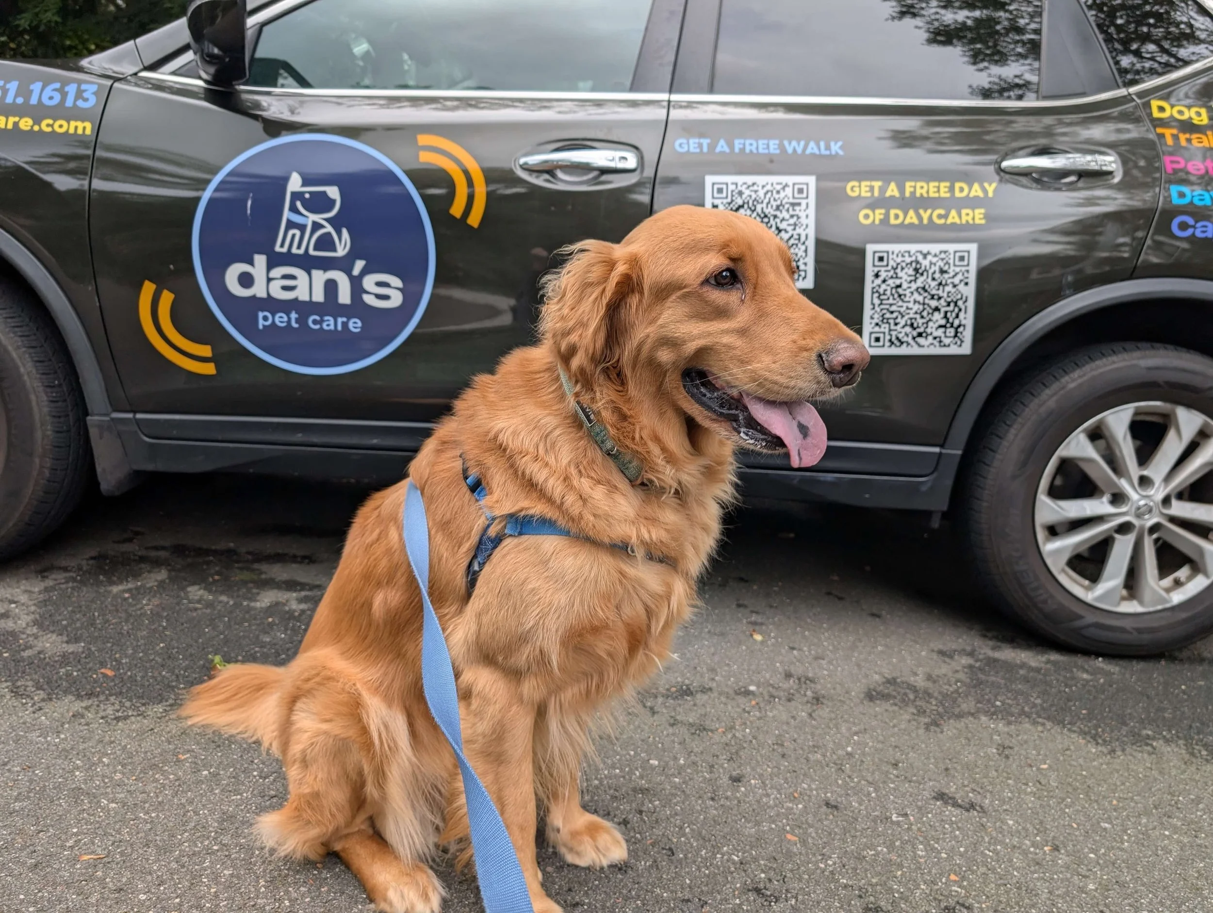 We asked our pups to say &ldquo;cheese&rdquo;&hellip; they heard &ldquo;LICK THE CAMERA.&rdquo; 📸😂

Our Long Island dog walkers caught some seriously SLURPY moments on this week&rsquo;s walks across Nassau and Suffolk County. From nose-boopers to f