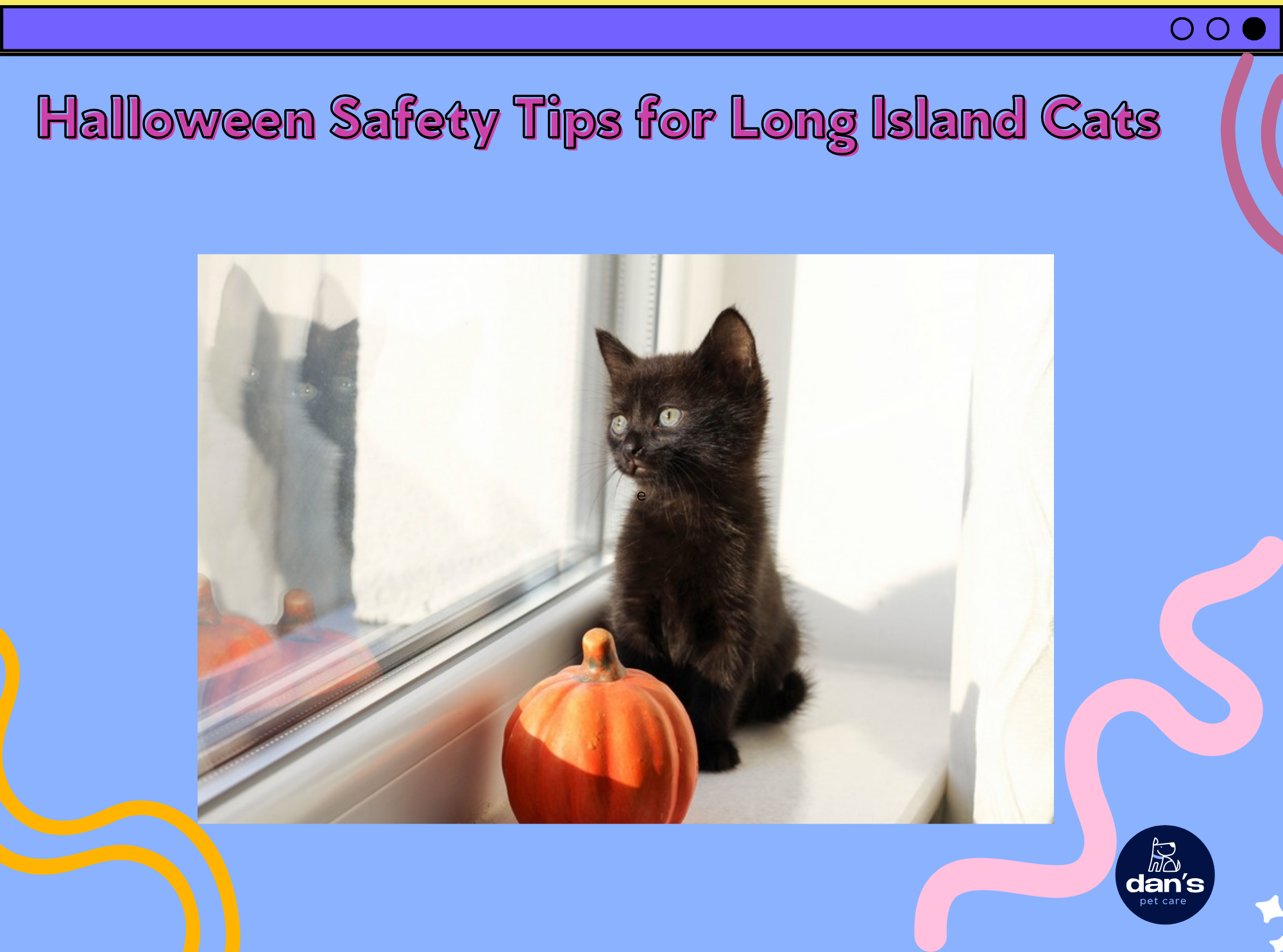 Halloween Safety Tips for Long Island Cats