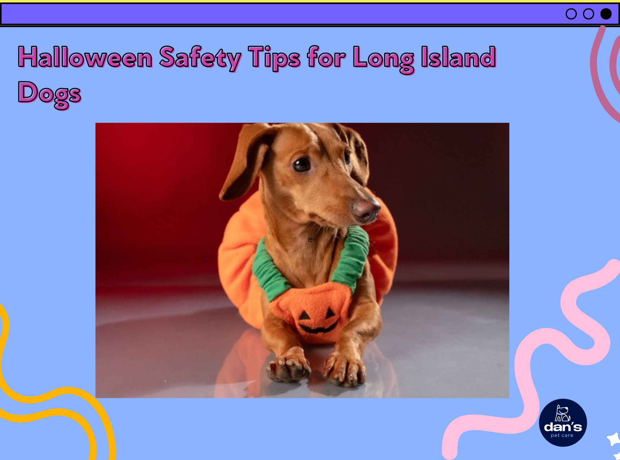 Halloween Safety Tips for Long Island Dogs 