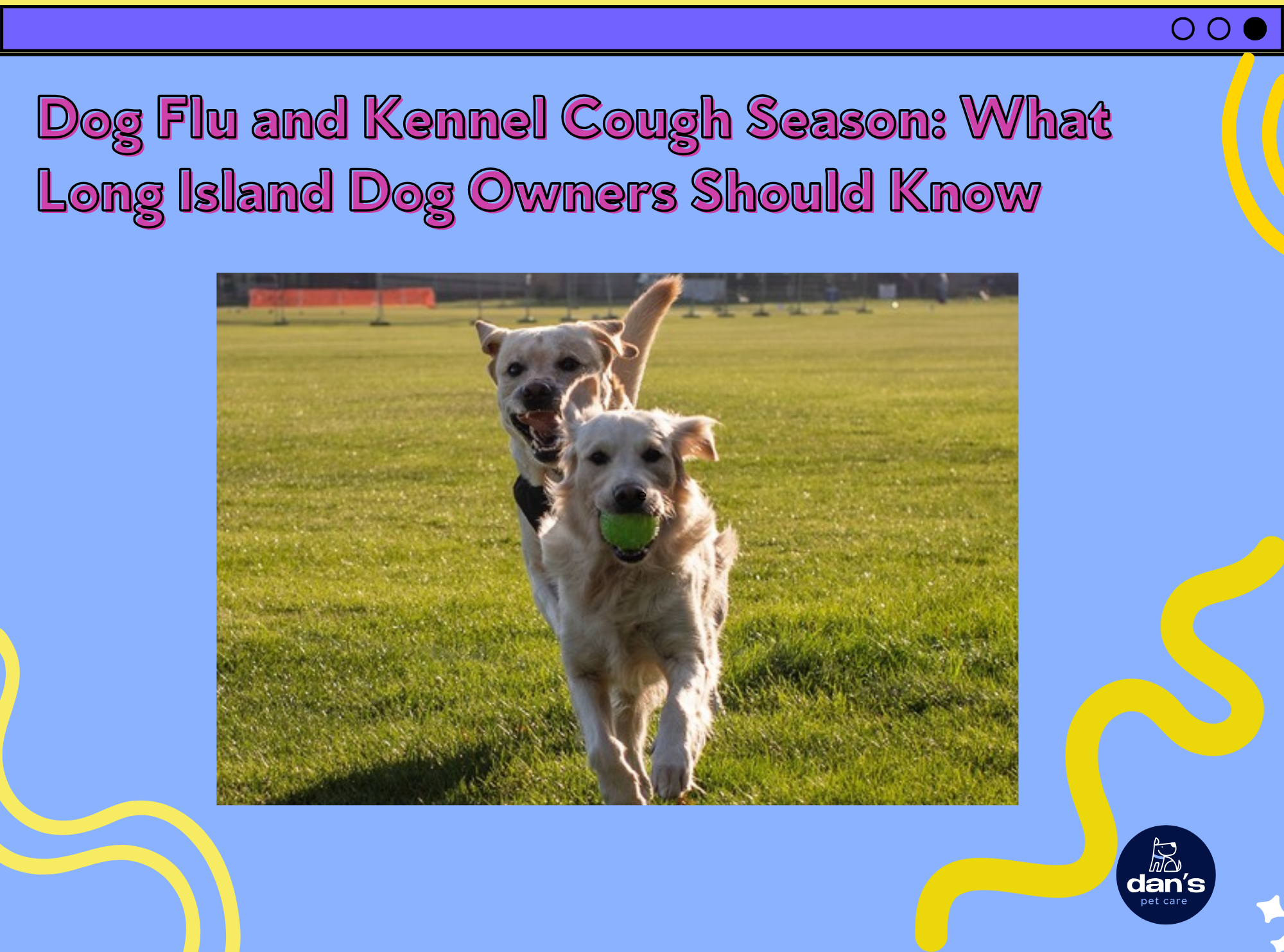 Dog Flu and Kennel Cough Season: What Long Island Dog Owners Should Know Before Boarding or Daycare