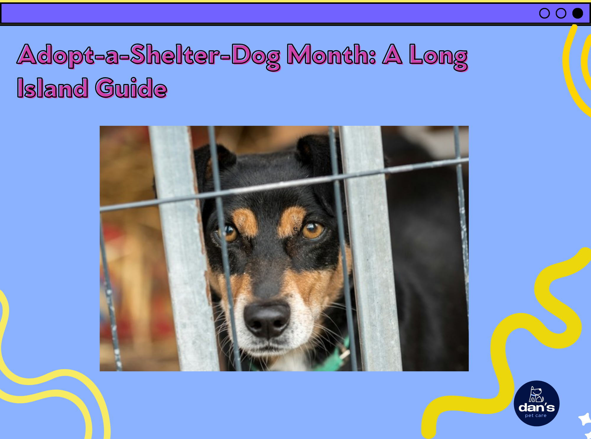 October Is Adopt-a-Shelter-Dog Month: A Long Island Guide to Bringing a Rescue Dog Home 