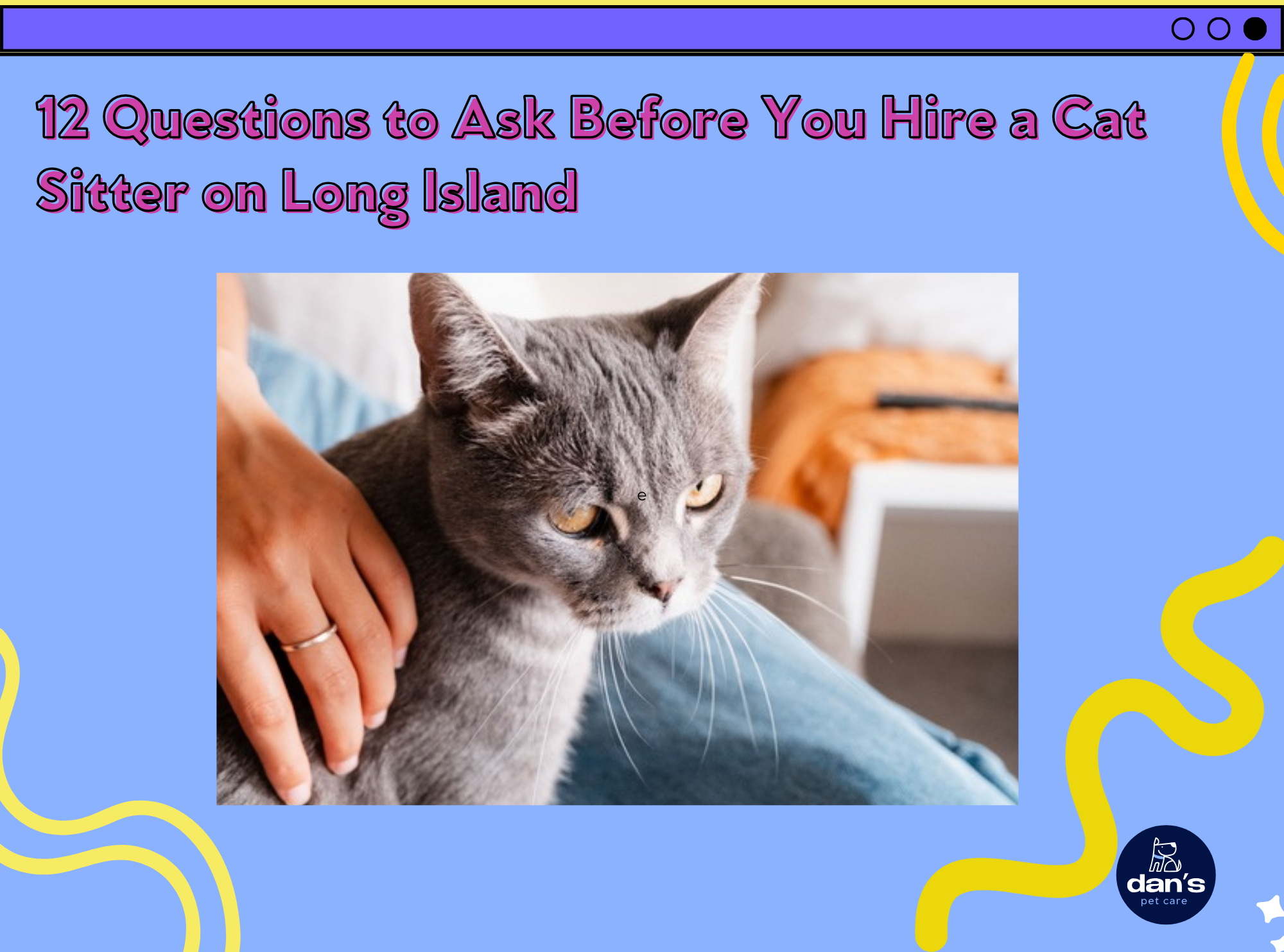 12 Questions to Ask Before You Hire a Cat Sitter 