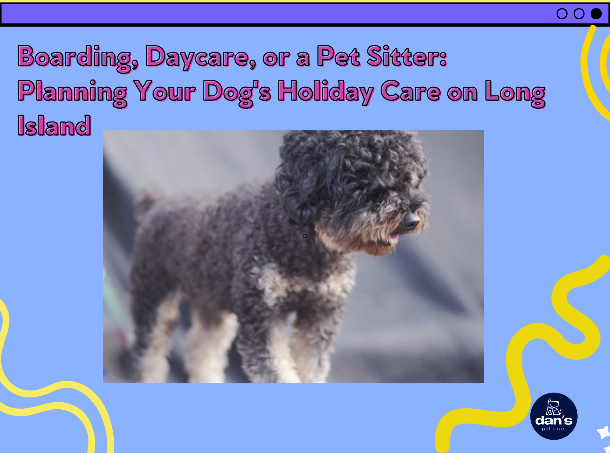 Boarding, Daycare, or a Pet Sitter: How to Plan Your Dog's Holiday Care on Long Island | Dan's Pet Care
