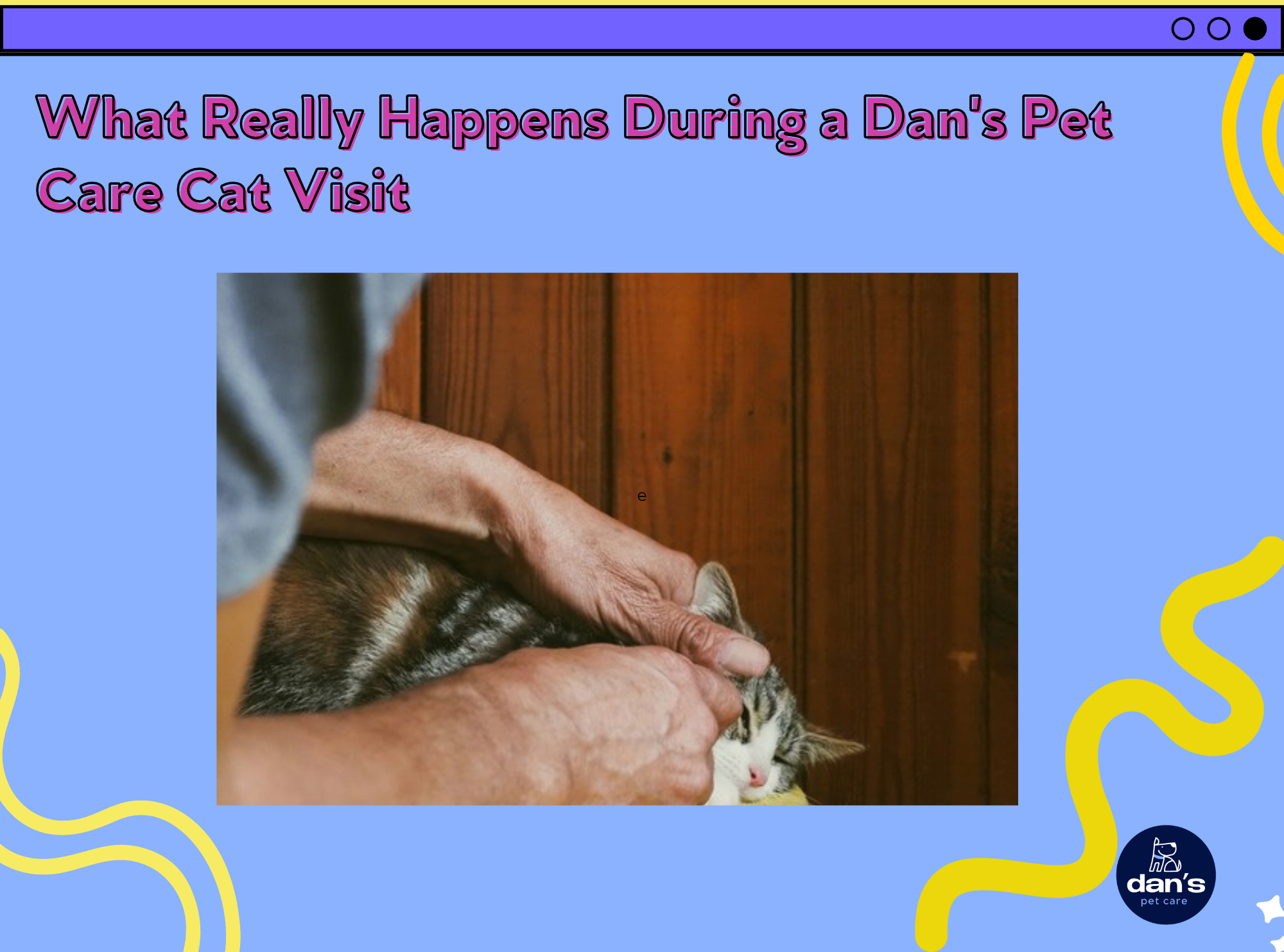 What Really Happens During a Dan's Pet Care Cat Visit