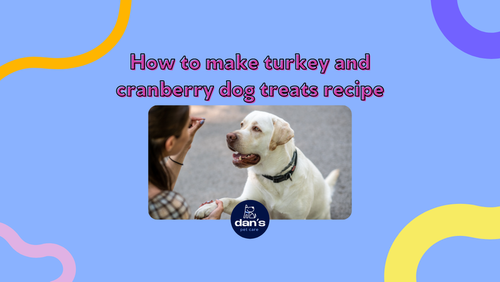 How To Make Healthy Turkey & Cranberry Dog Treats Recipe — Dan's Pet Care