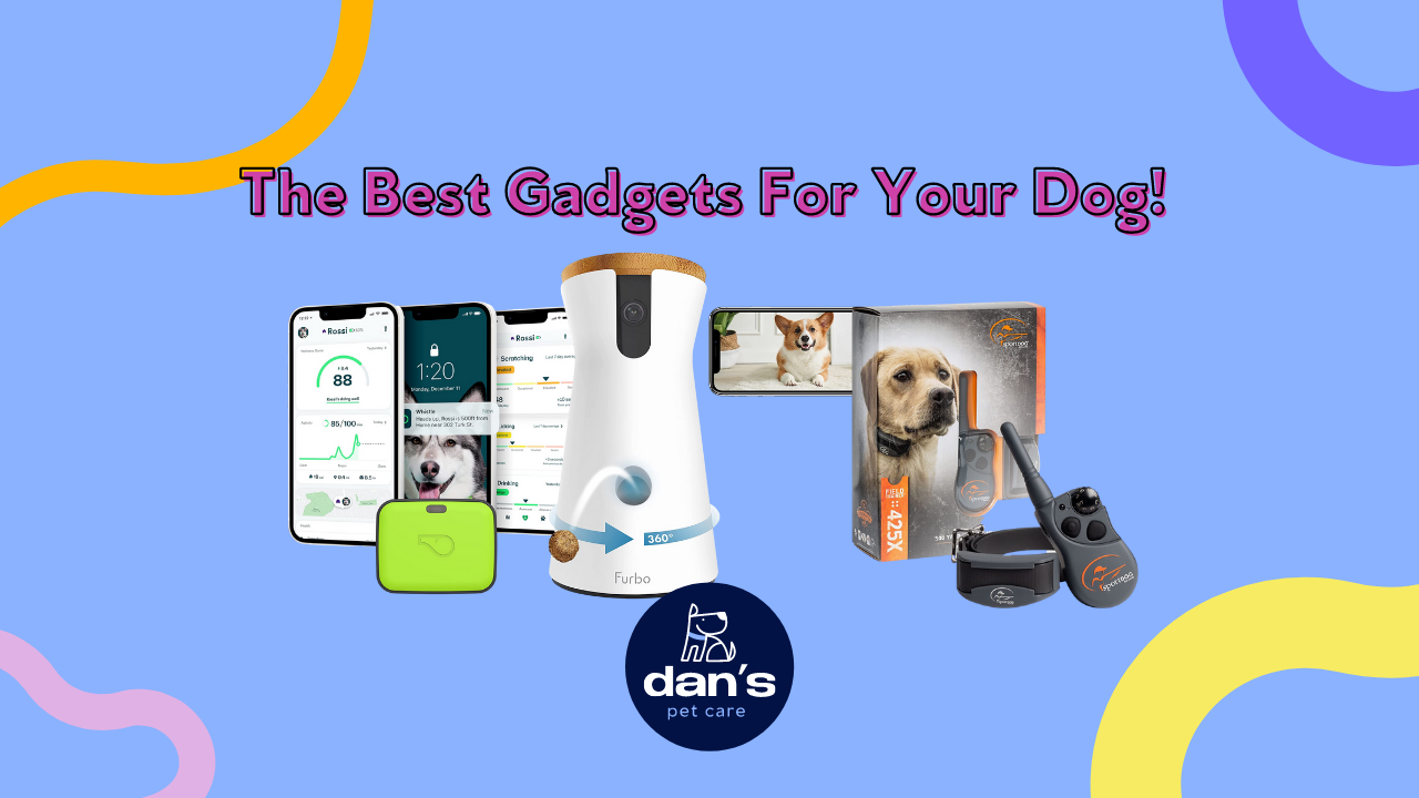 The 6 Best Gadgets for Your Dog this Holiday Season 2022