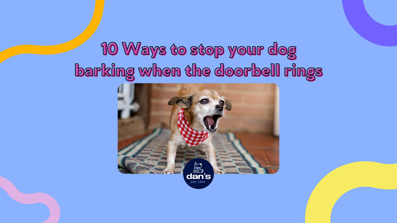 Your Dog How To Get Dog To Stop Barking At Doorbell How To Get Dog To