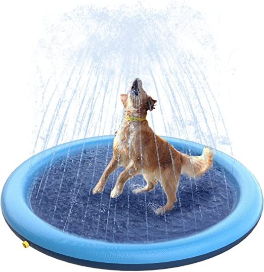 How to Keep Dog Away from Trampoline 