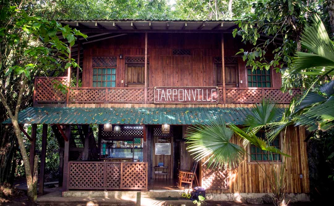 TARPVILLE FRONT.jpg