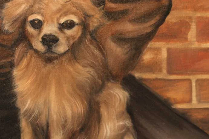 Homeless, detail