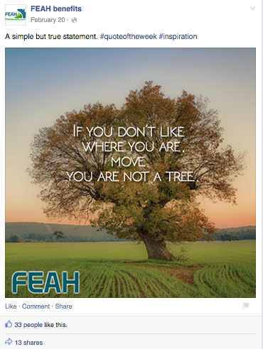 This post is really about placement of the type and conveying the quote. I wanted the visual to match the text. This image was very clean and with the focal point being the tree, it was the person image to create this type-heavy post on.&nbsp; 