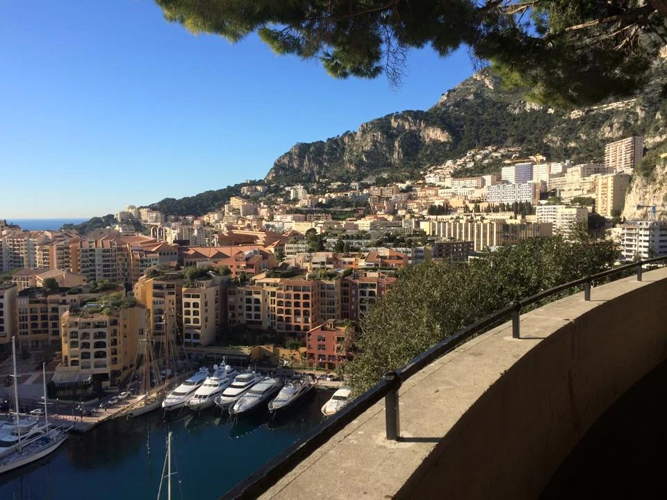Monaco, January 2015