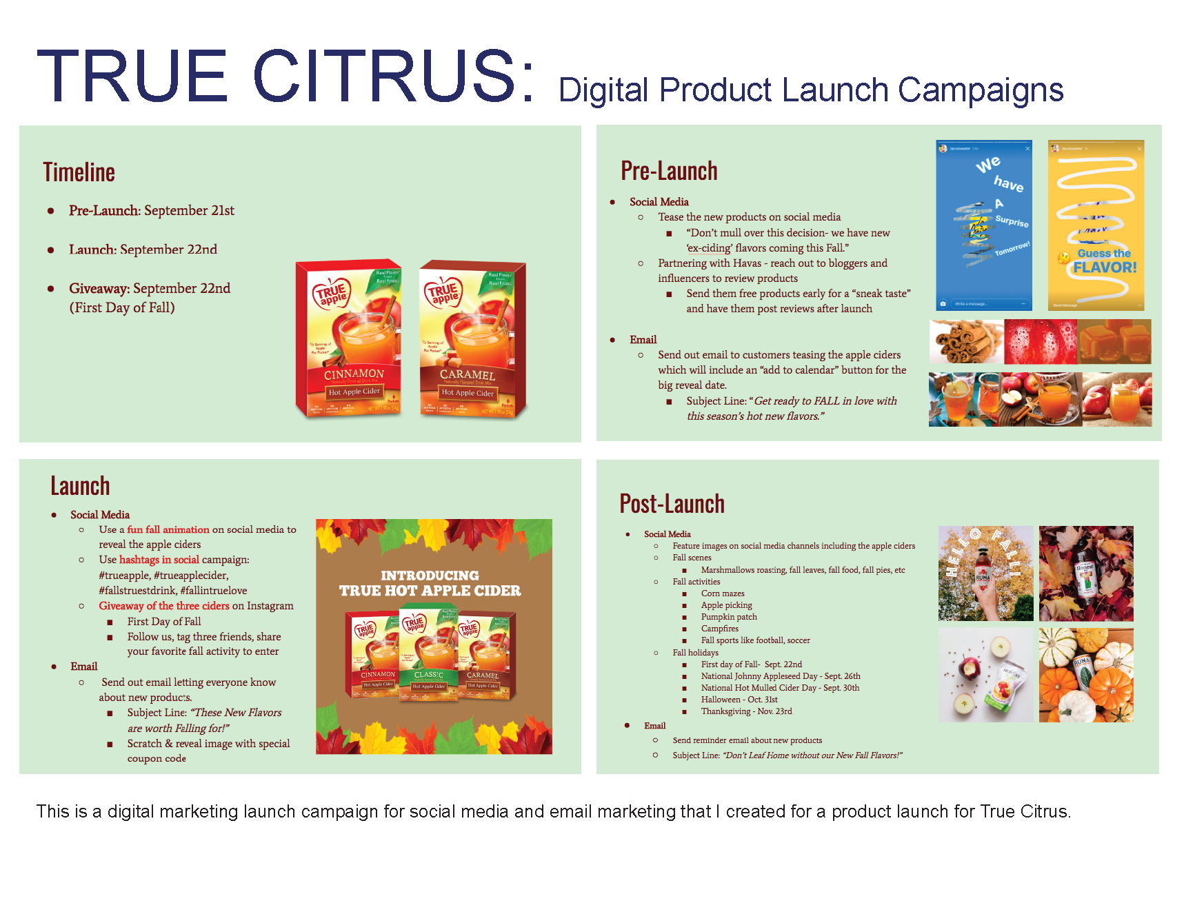 Crim Marketing Portfolio_Page_5.png