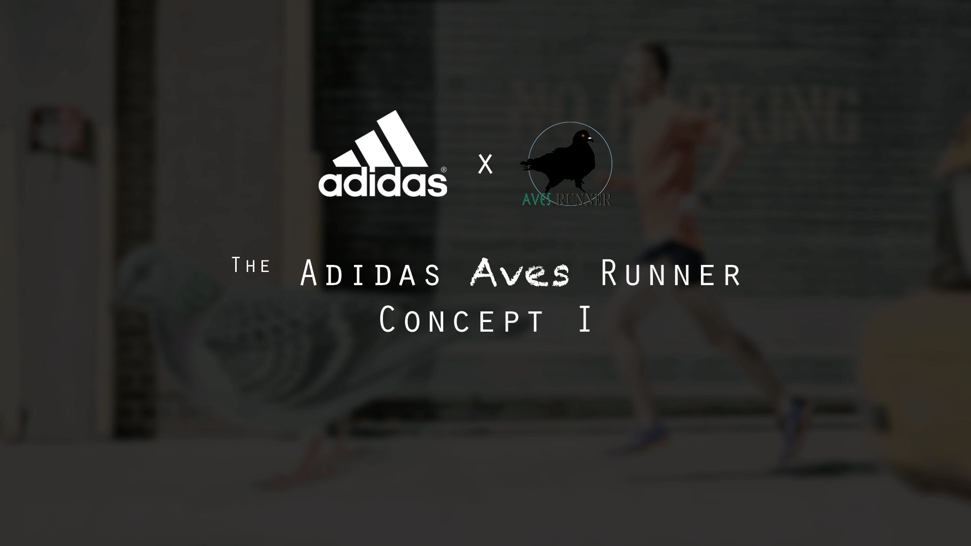Aves-Runner-Cover-Page.gif