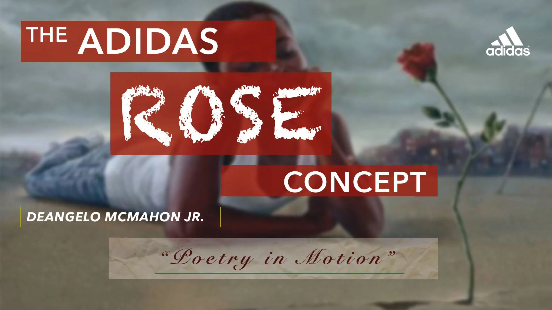 Adidas-Rose-(Slide-1).jpg