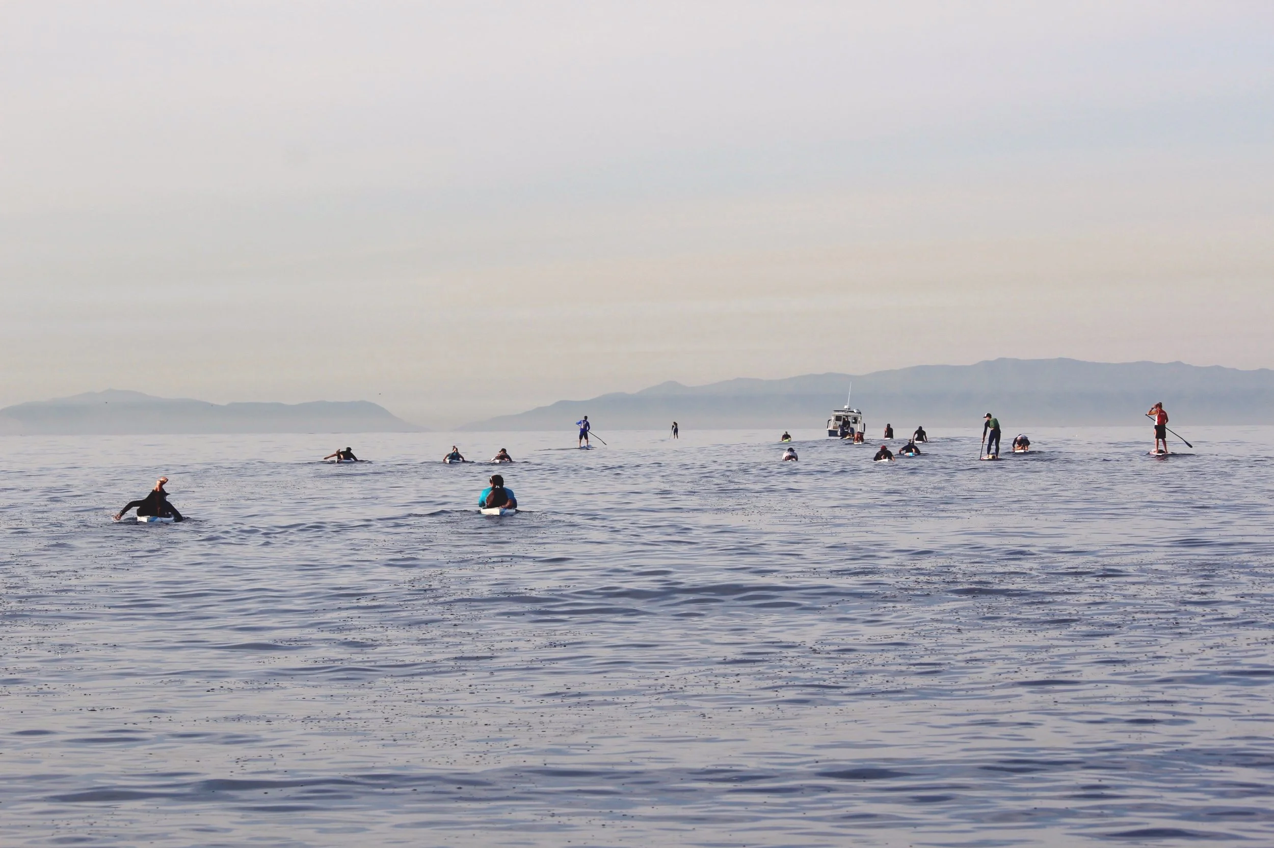 Crew paddle