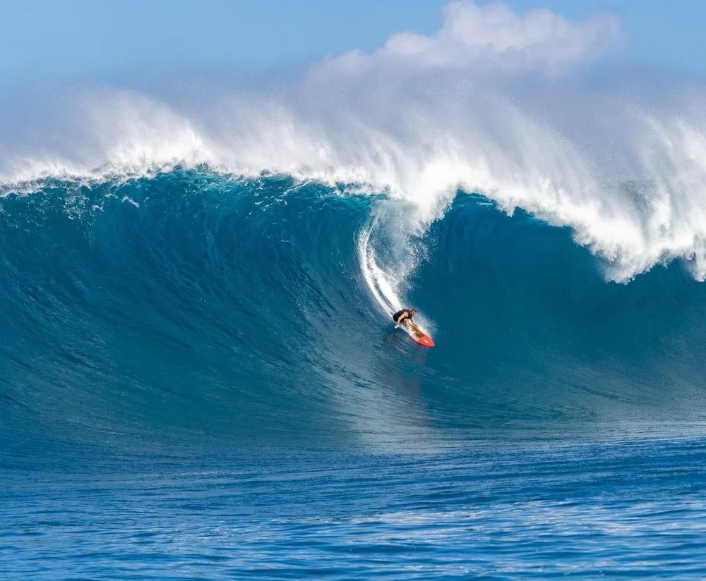 Big Wave Guns — Bark Paddleboards