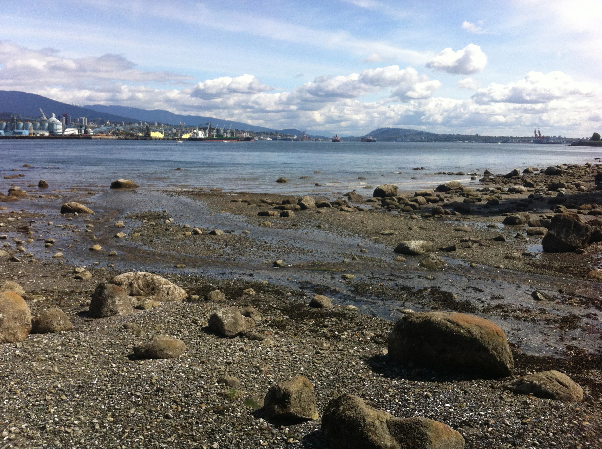 EVERYONE LOVES A GOOD STORY!