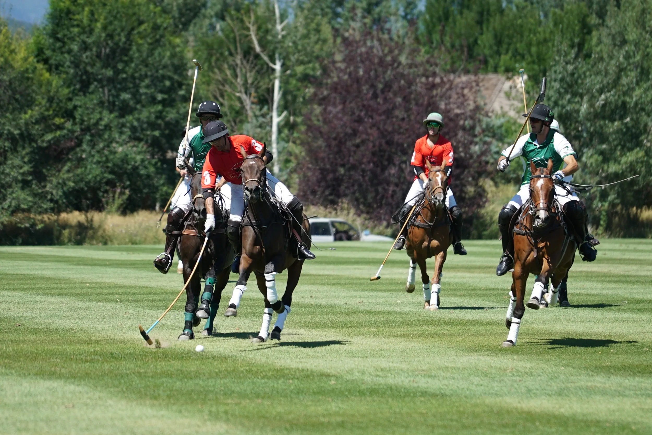 Los Amigos Red Wins Rocky Mountain Open At Aspen Valley Polo Club; Julio Novillo Astrada Named MVP