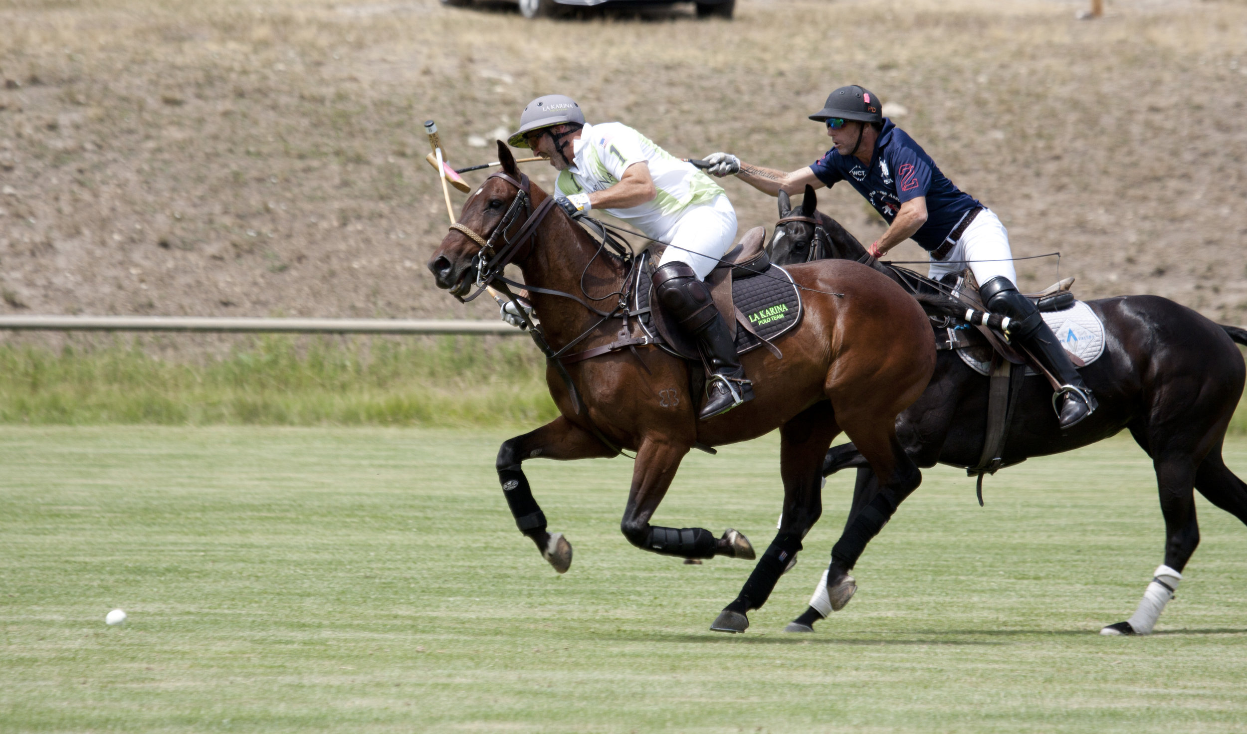 Pablo Dorignac of American Polo Horse hooks Bria.JPG