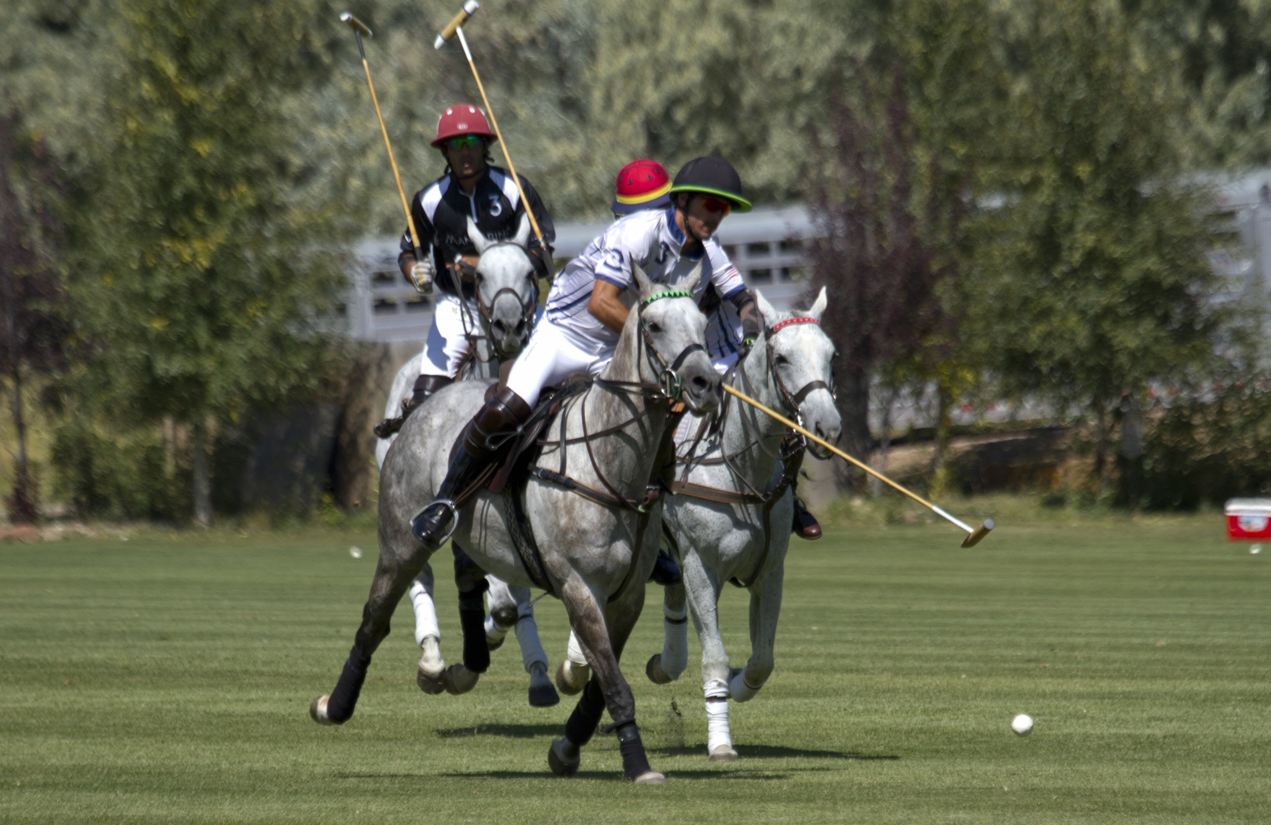 Nic Roldan of Woodrow Farm hits a n.JPG