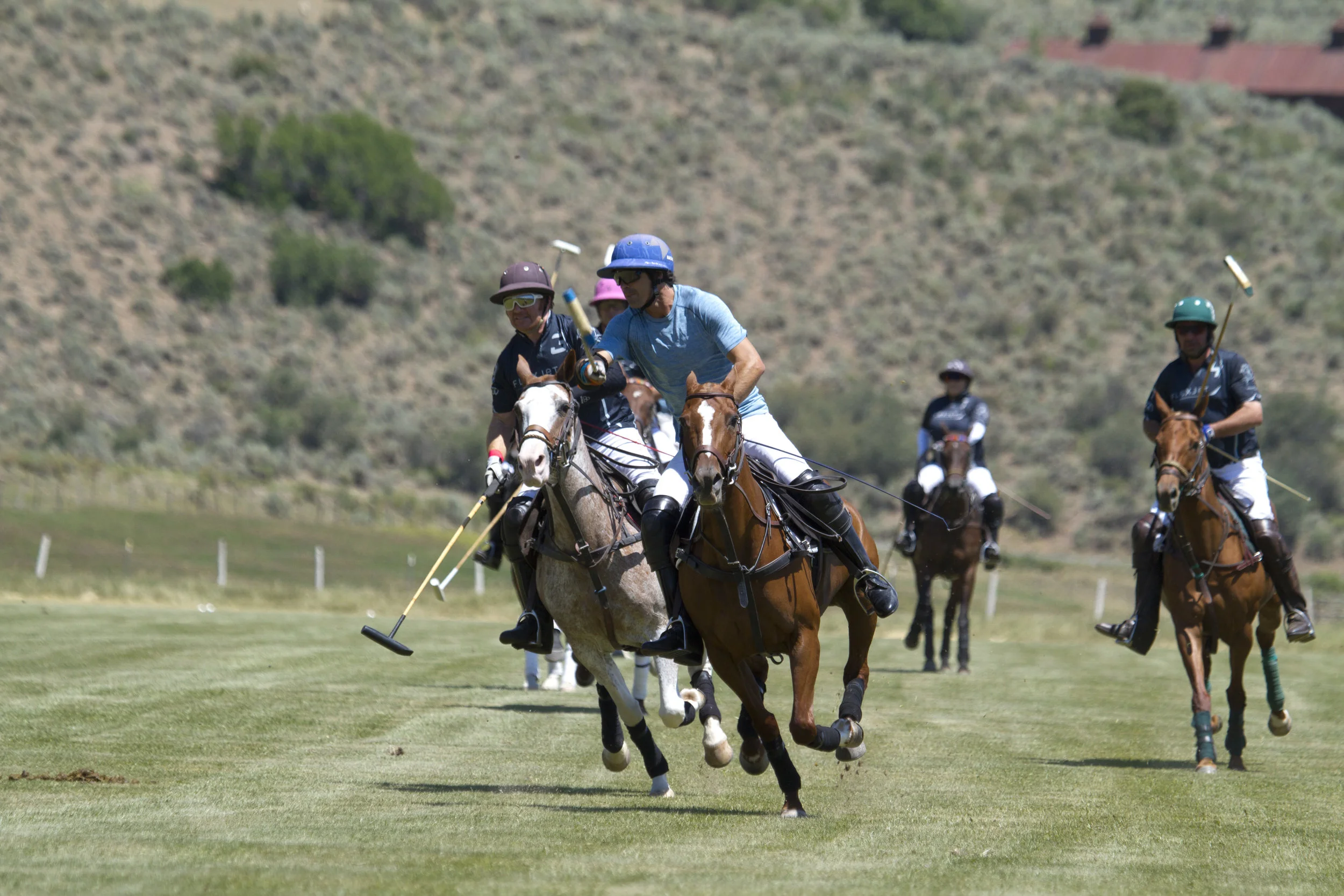 Piocho, Los Amigos Red Meet Sunday In Craig Sakin Memorial Final At Aspen Valley Polo Club
