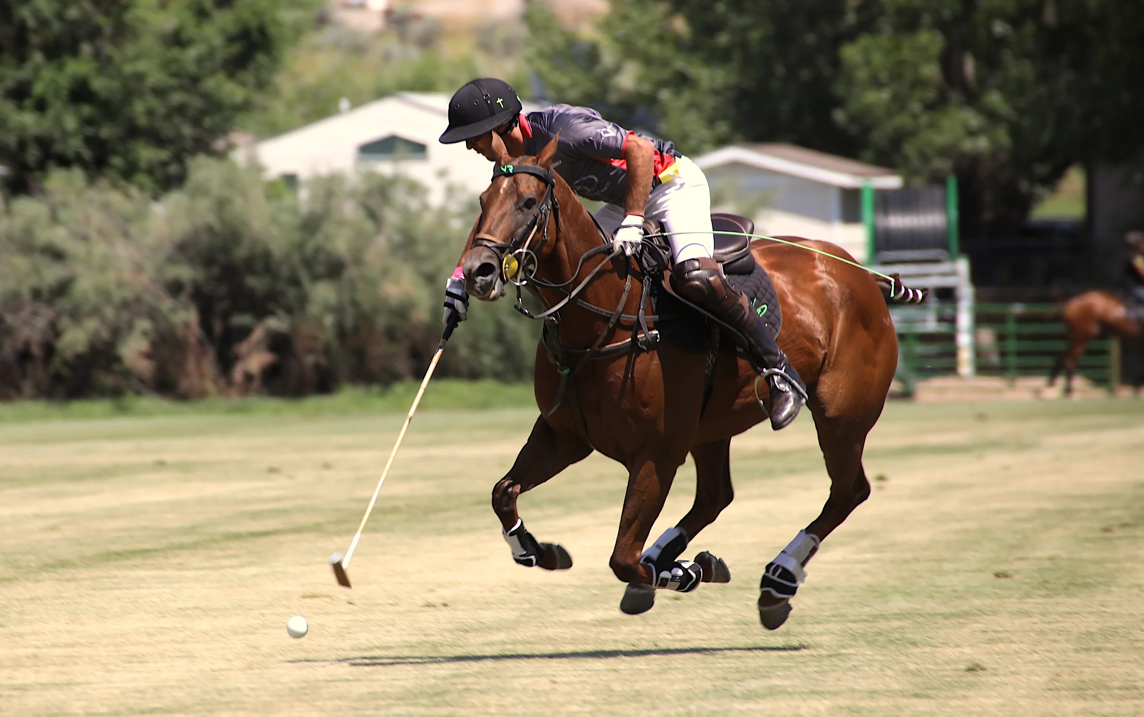 Audi, Flexjet Advance Into WPL Triple Crown Of Polo Championship Sunday At McClure River Ranch