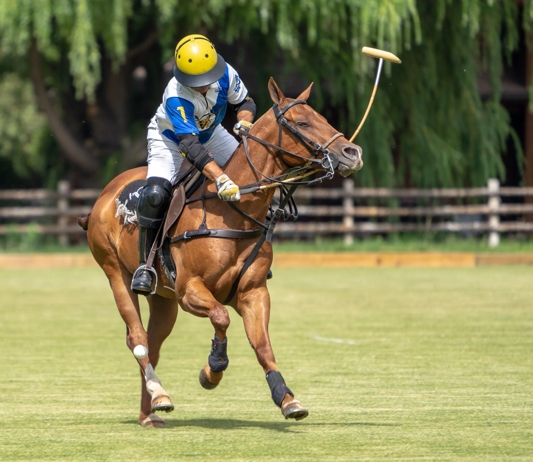 Craig Sakin Memorial Begins Friday At McClure River Ranch