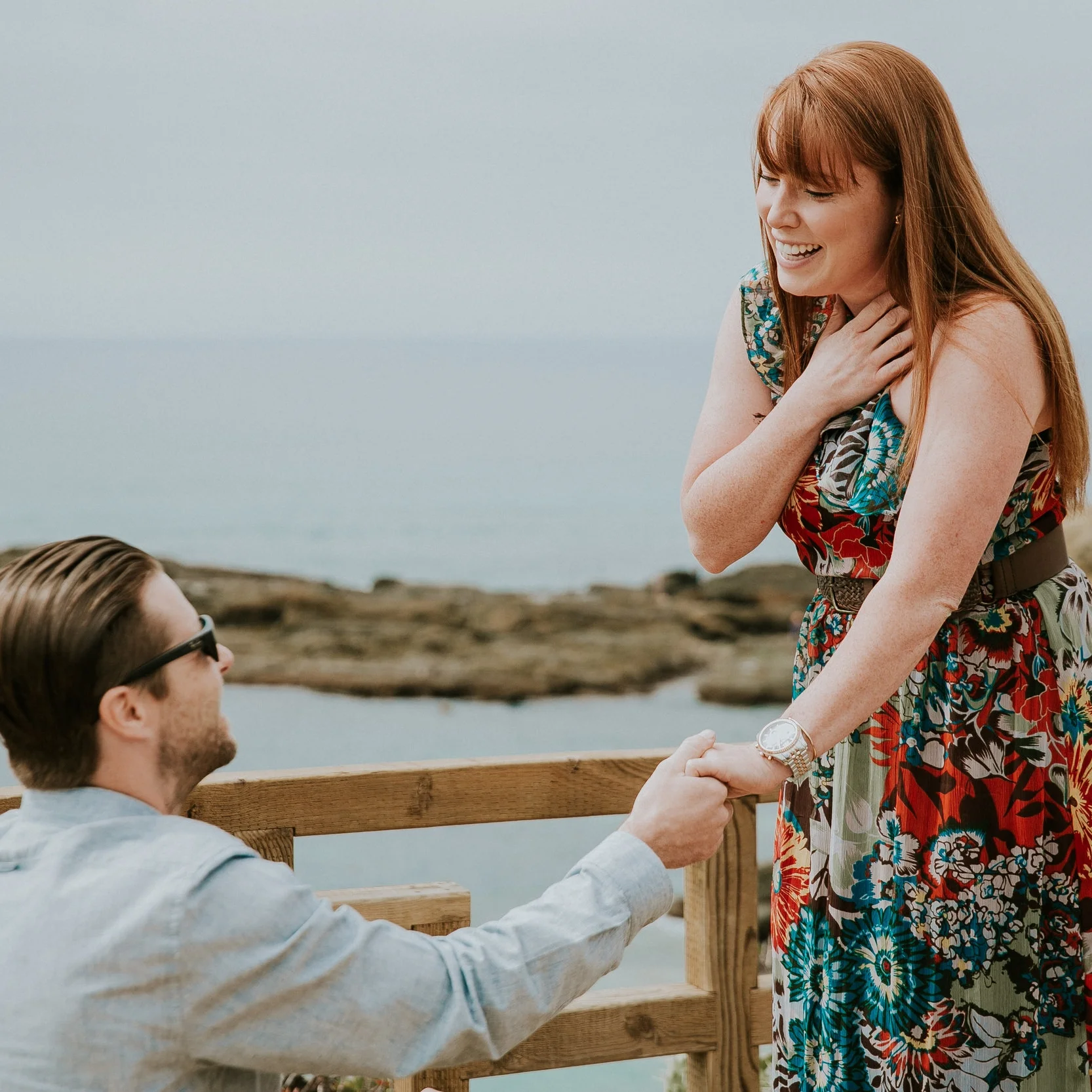 Koko + Derek Proposal
