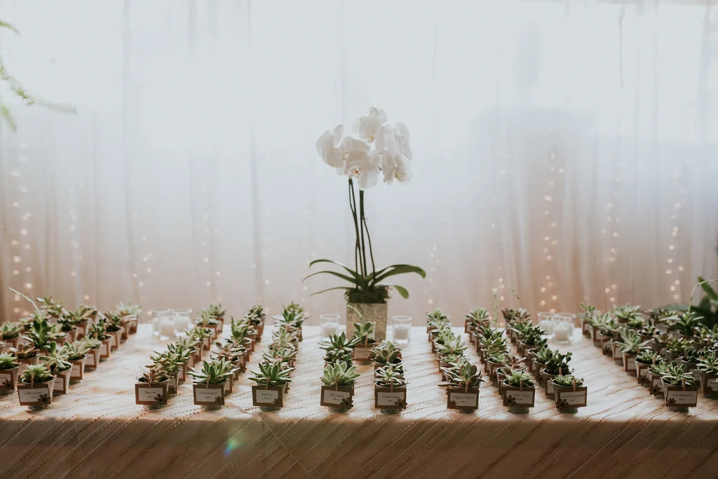 _alexia&boni04292016-17.jpg