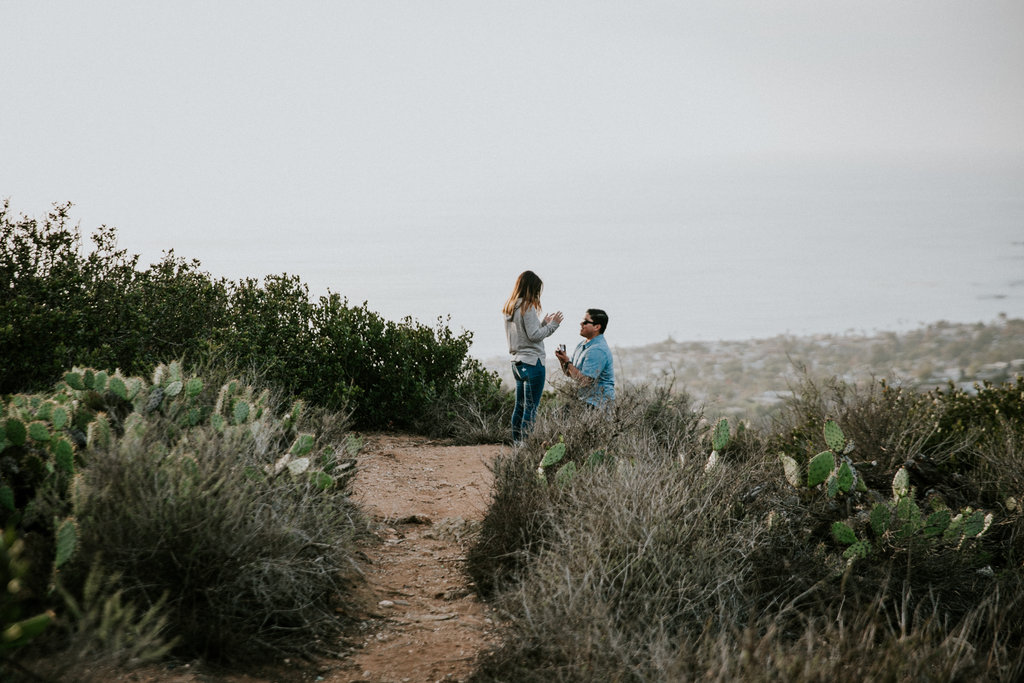 nick+beth_proposal08712.jpg