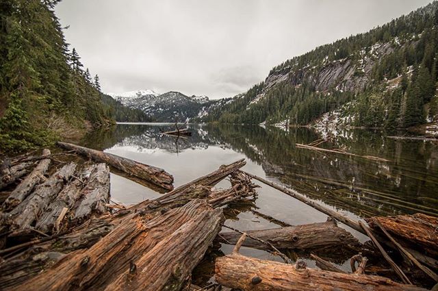When you go hiking on a rainy day to find that you miss the rain and the crowds. Sounds like a win to me!-----------------------------------------
#igers #epic_captures #igers_seattle #canon5dmarkiv #teamcanon #beautiful #mountains #mtbaker #canon_of