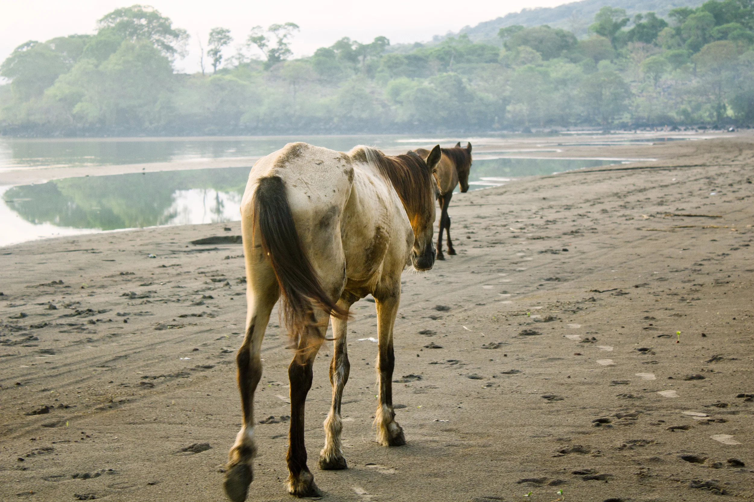 Nicaragua2013-0494.jpg