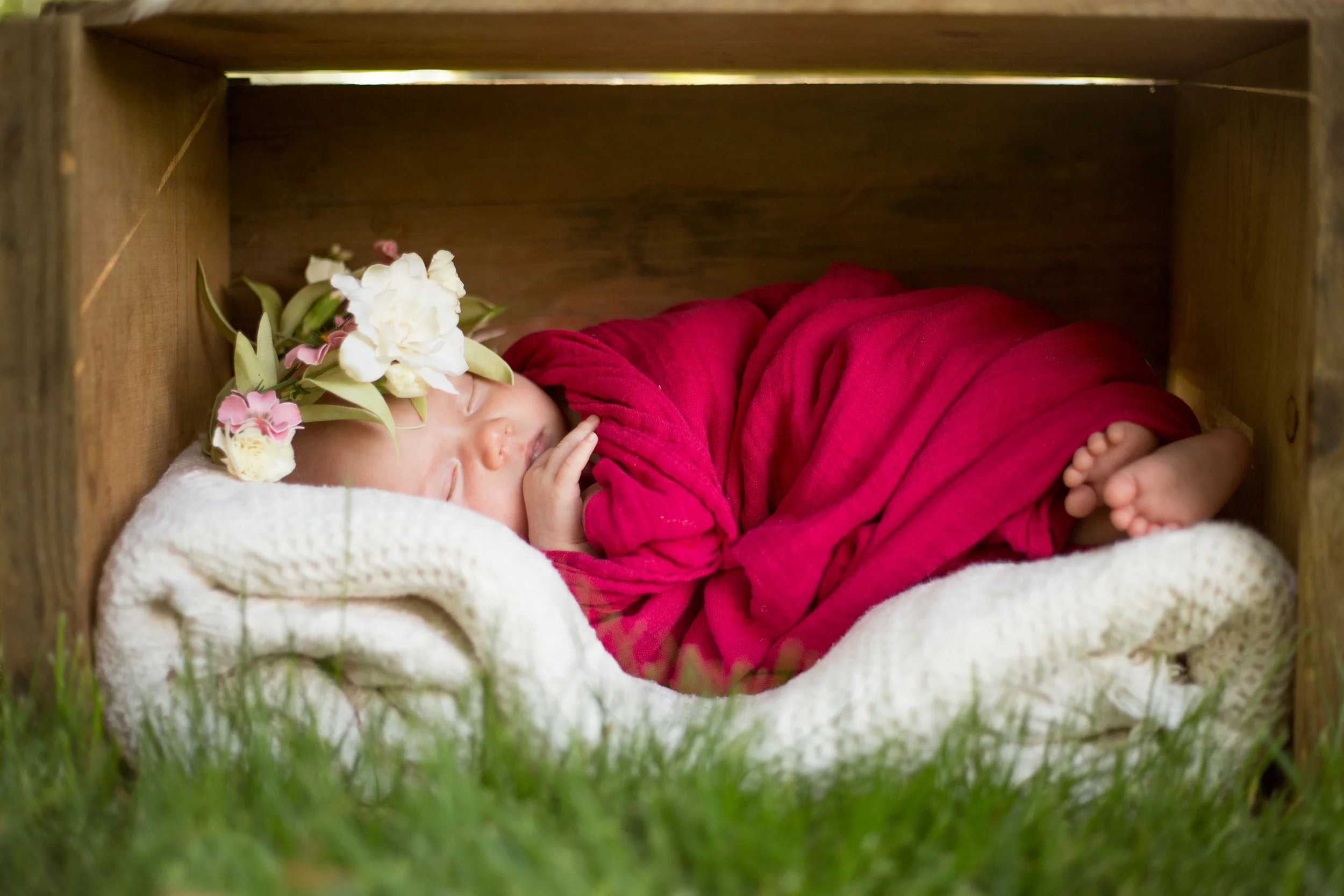 Tyla 06-12-2015-2056.jpg