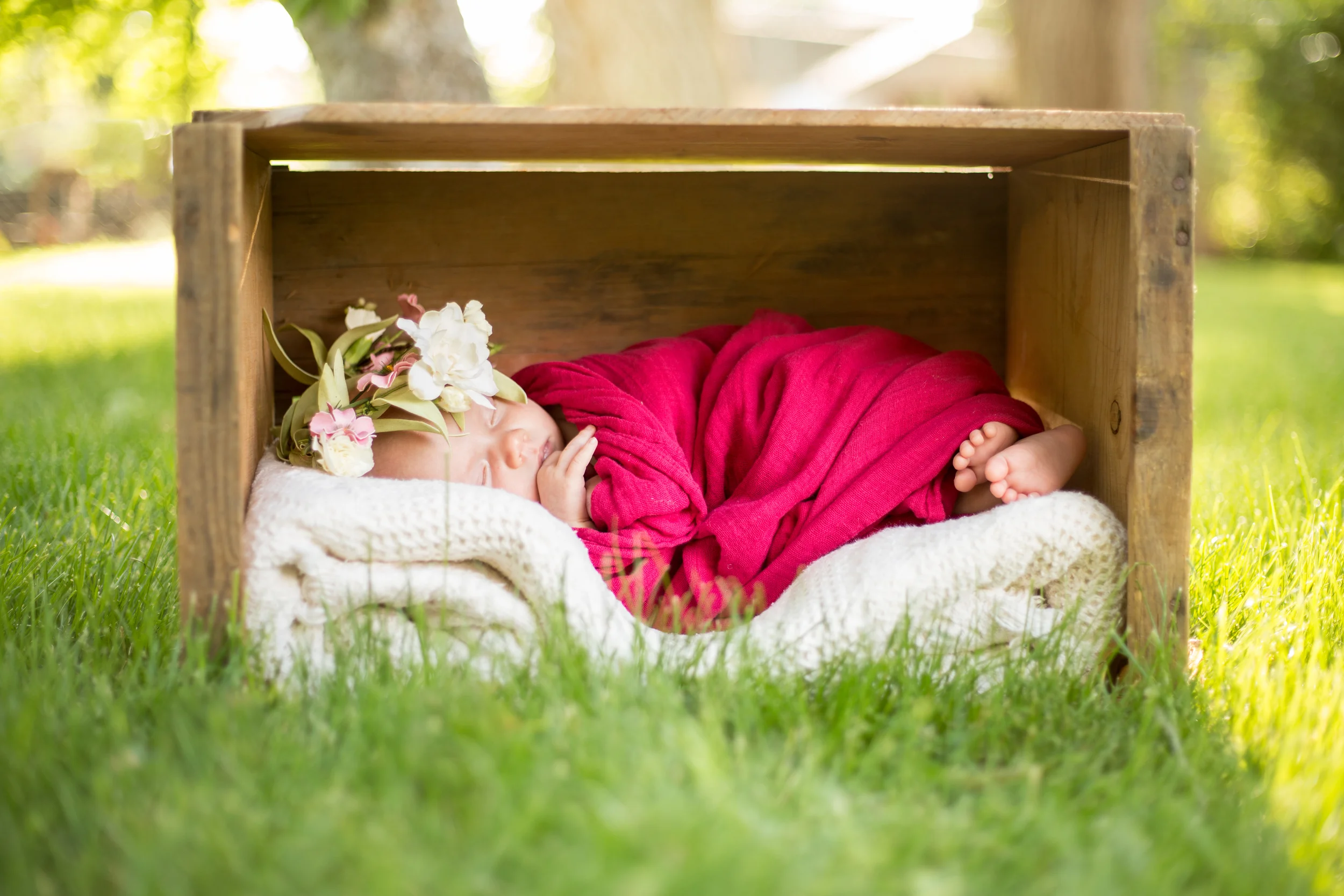 Tyla 06-12-2015-2057.jpg