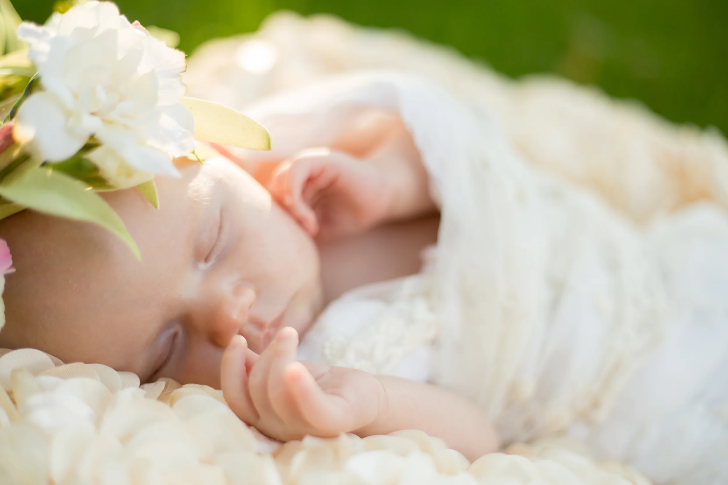 Tyla 06-12-2015-2075.jpg