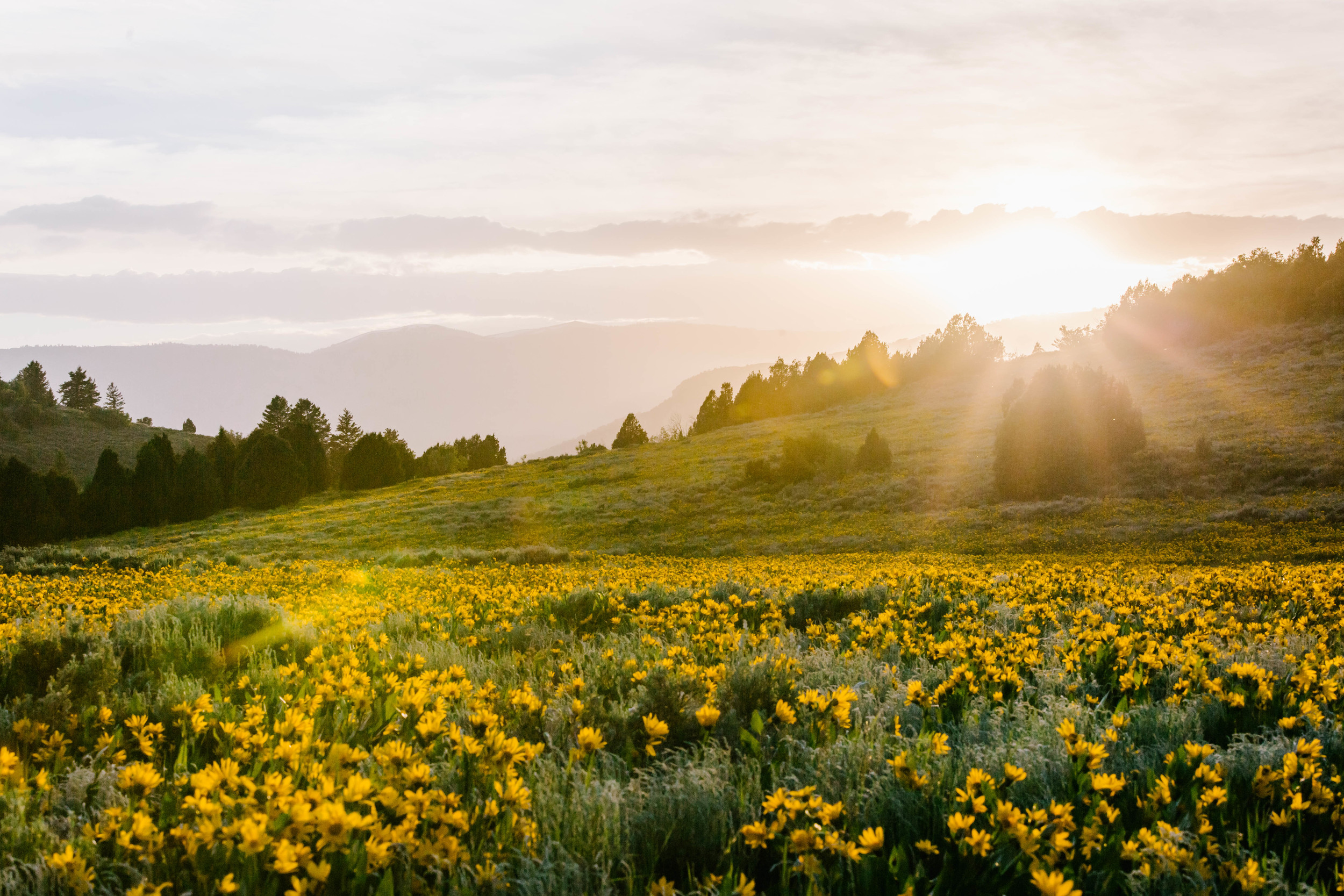 Logan Utah Engagement Photographer-9371.jpg