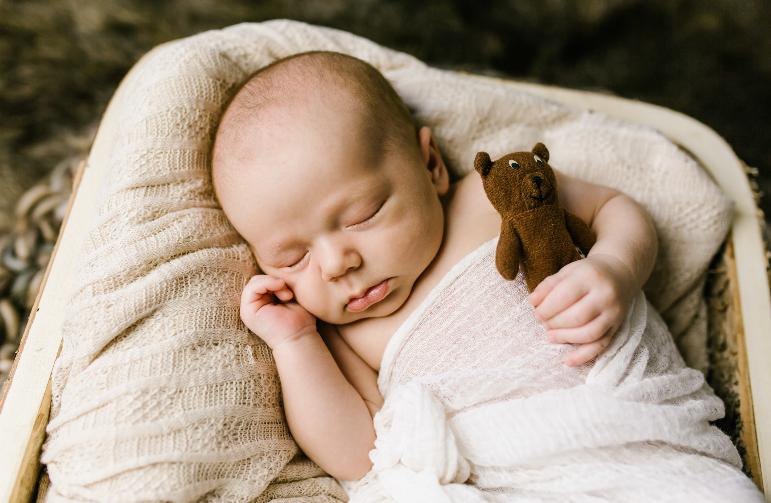 Loga Utah Newborn Photographer-9822.jpg