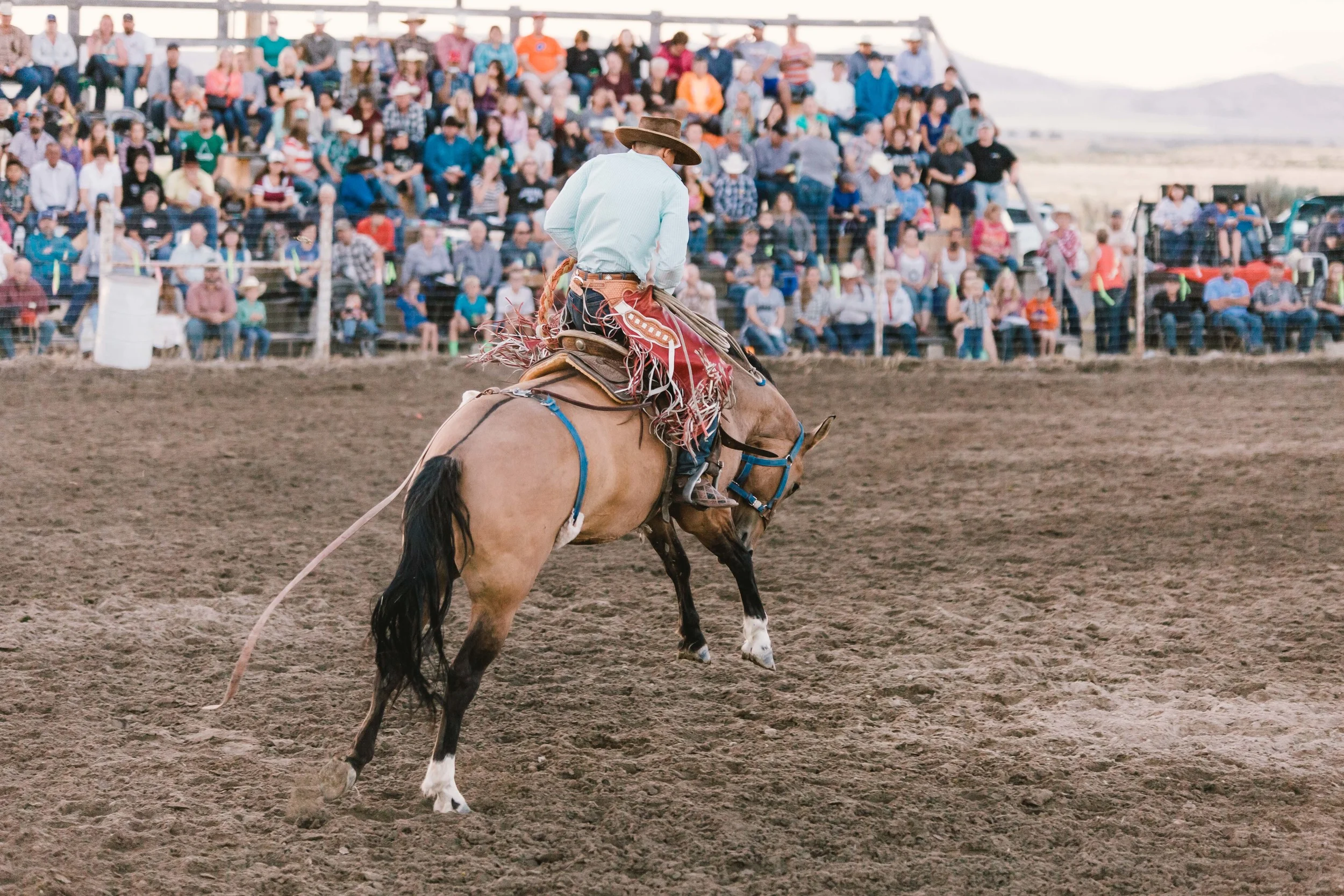 Stone Rodeo Photographer-1161.jpg