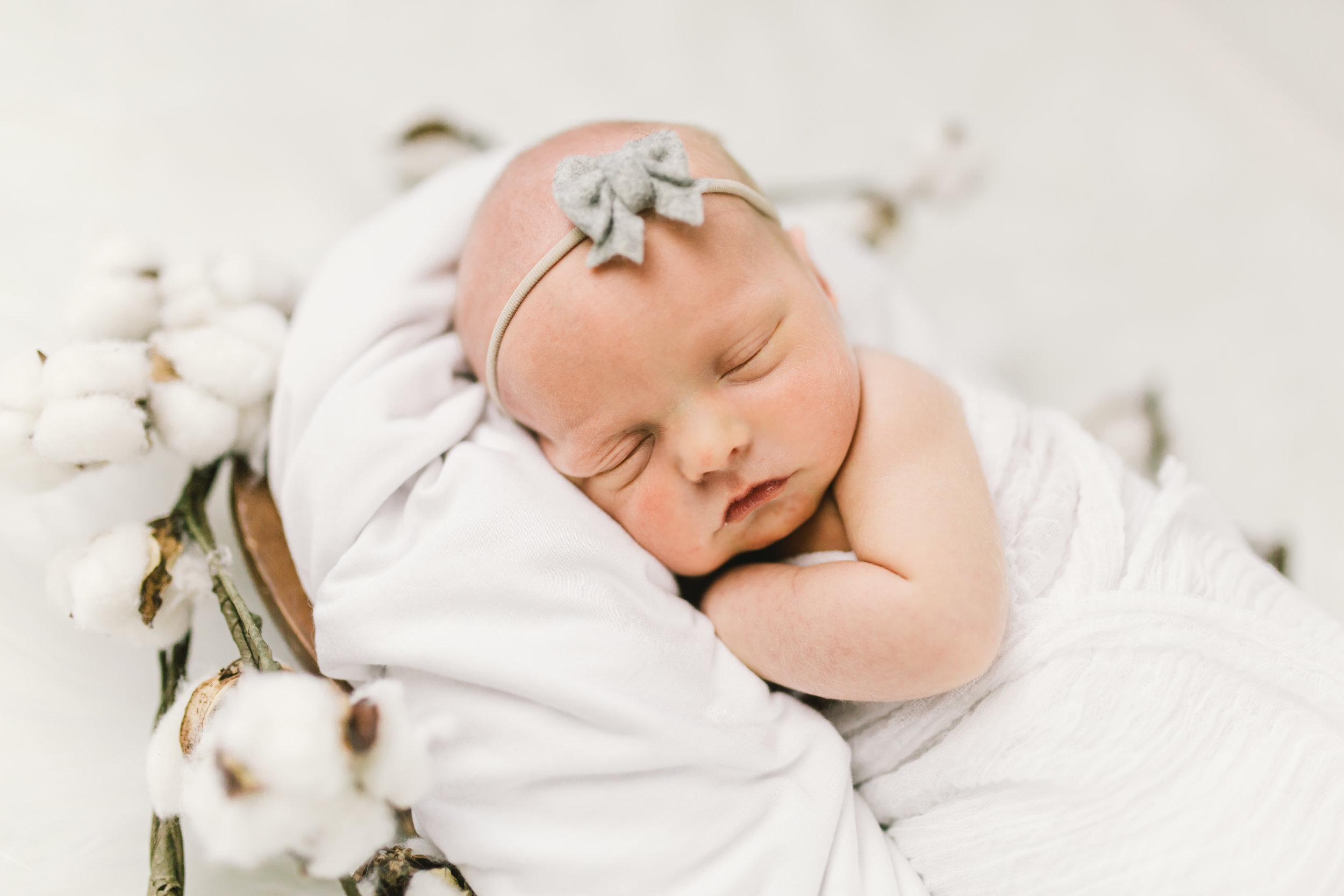 Logan Utah Baby Photographer-5382.jpg
