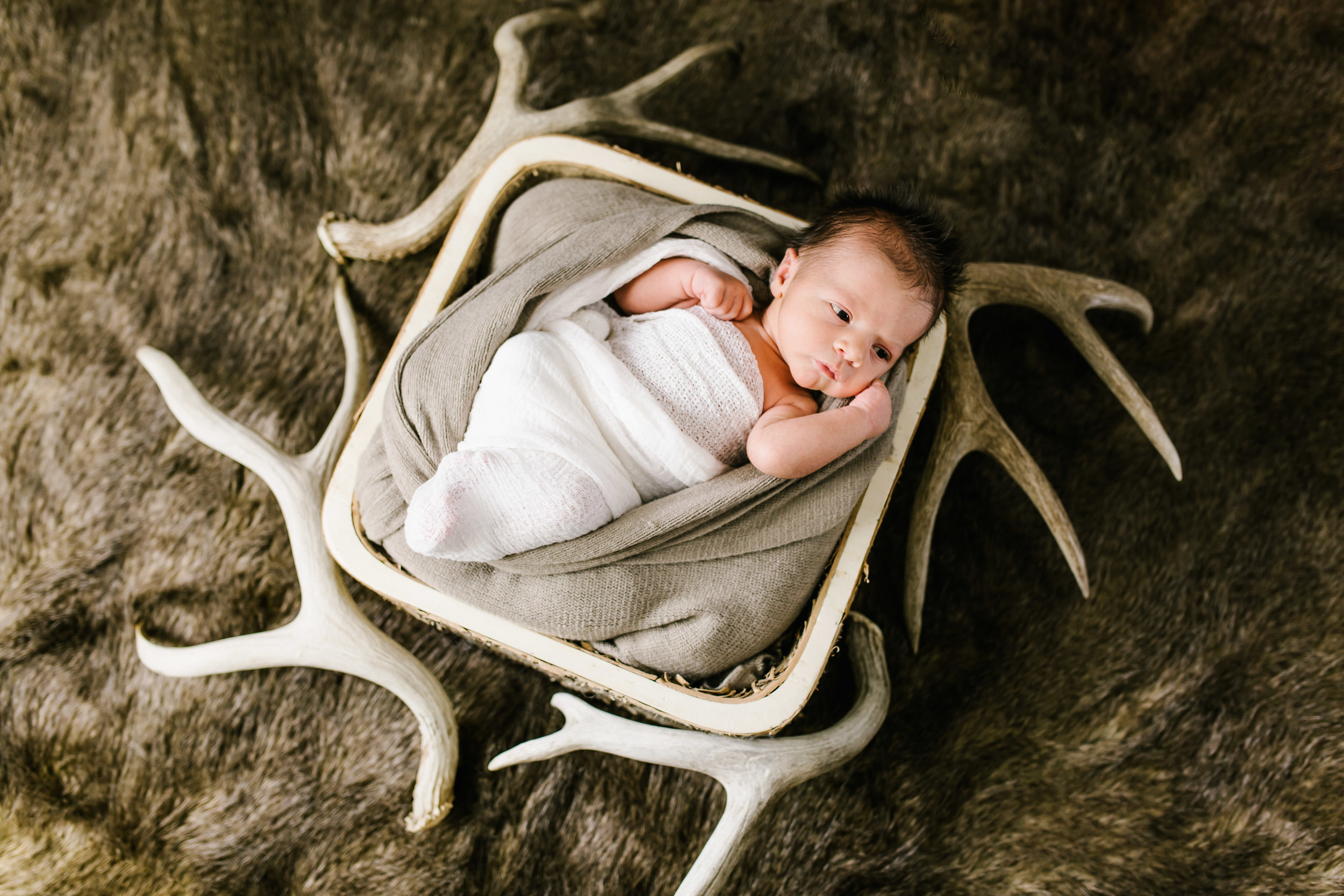 Logan Utah Newborn Photographer-3752.jpg