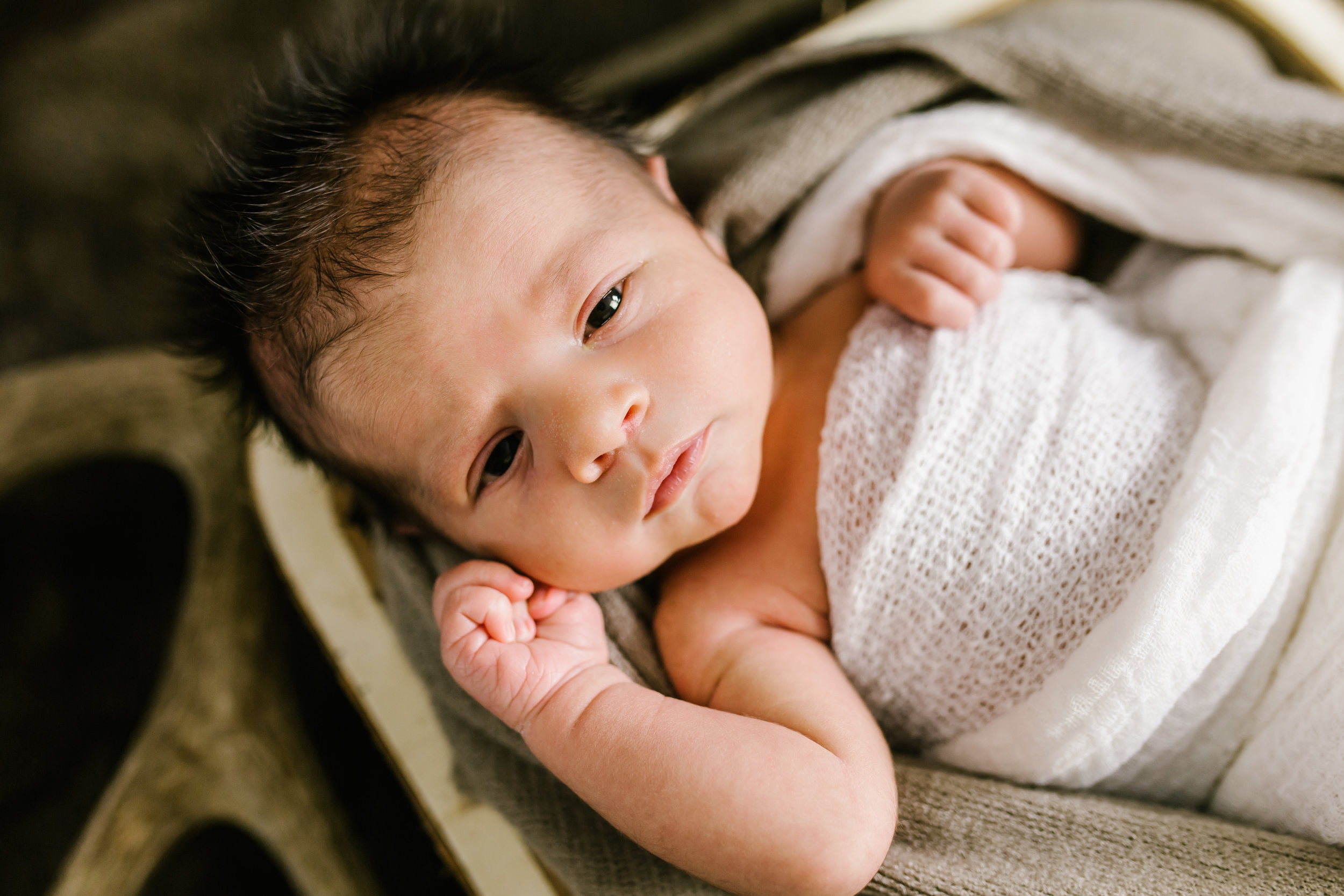 Logan Utah Newborn Photographer-3763.jpg