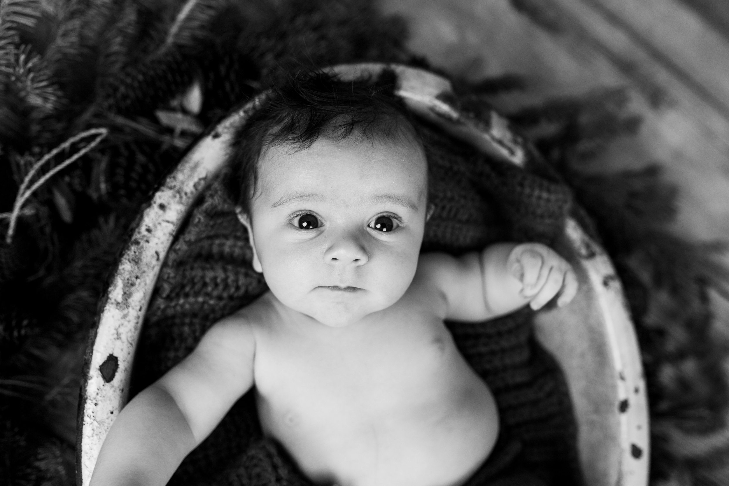 Logan Utah Newborn Photographer-0813-2.jpg