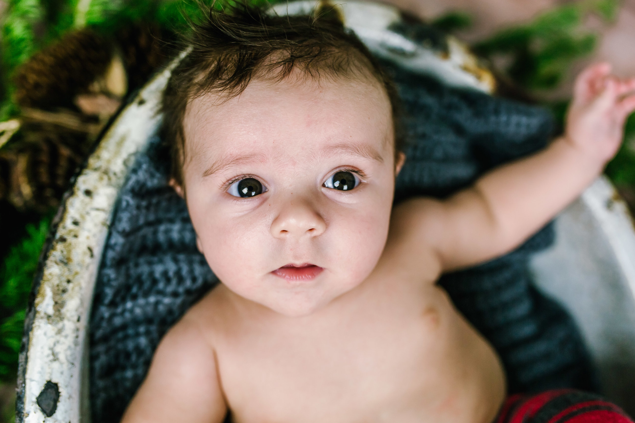 Logan Utah Newborn Photographer-0814.jpg