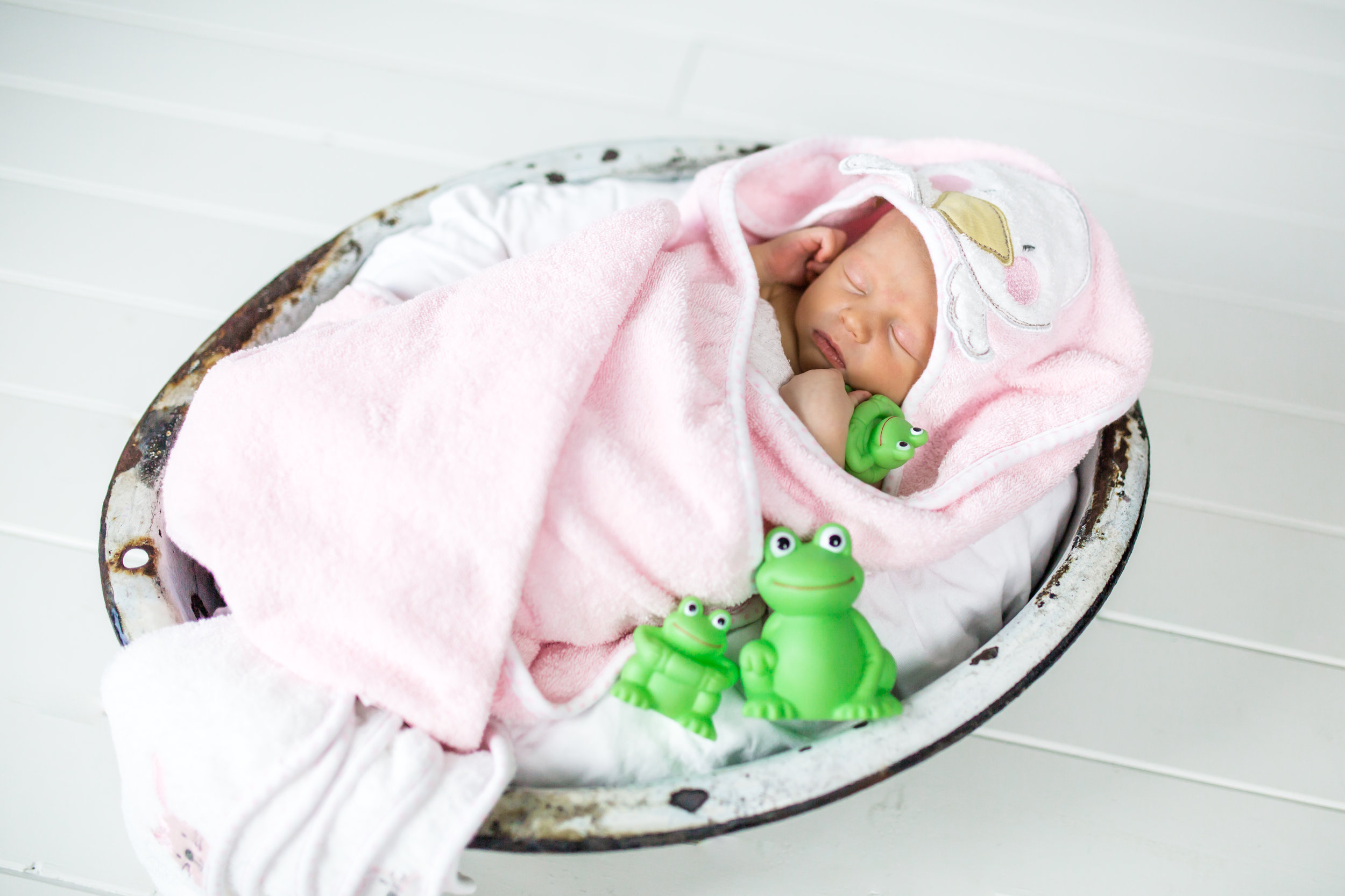 Logan Utah Newborn Photographer-1951.jpg