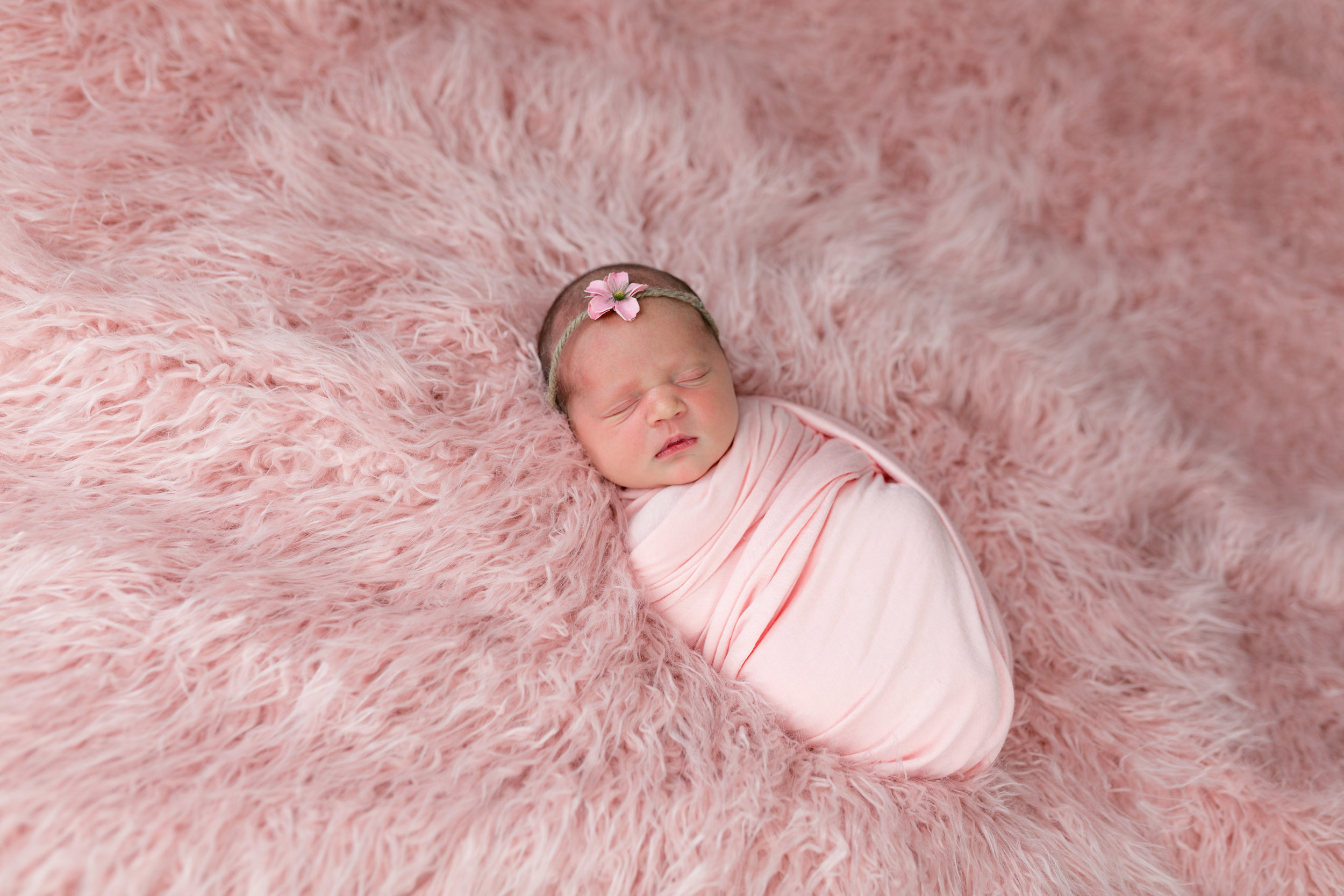 Logan Utah Newborn Photographer-9697.jpg