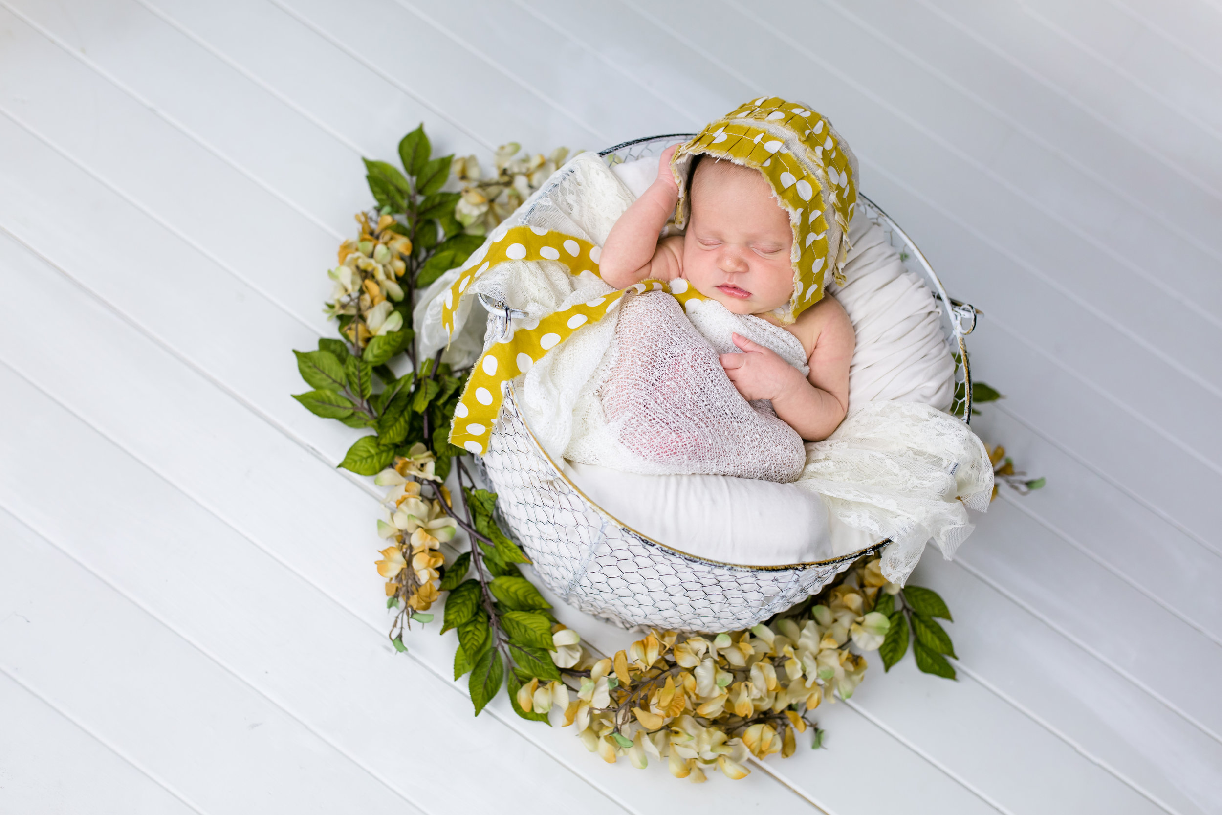 Logan Utah Newborn Photographer-9842.jpg