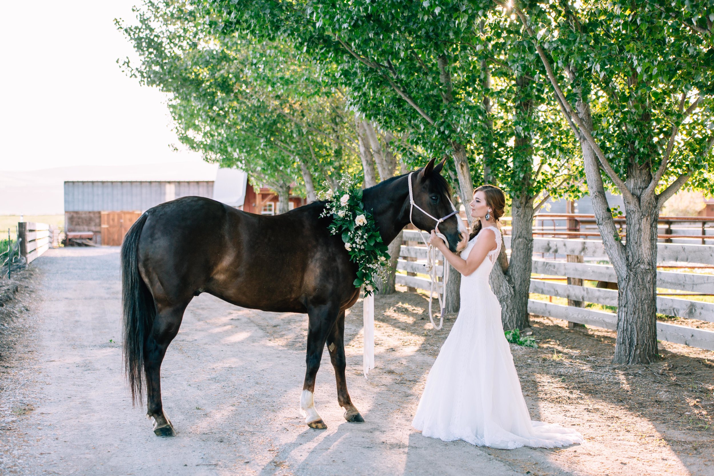 Logan Utah Western Wedding Photographer-0102.jpg