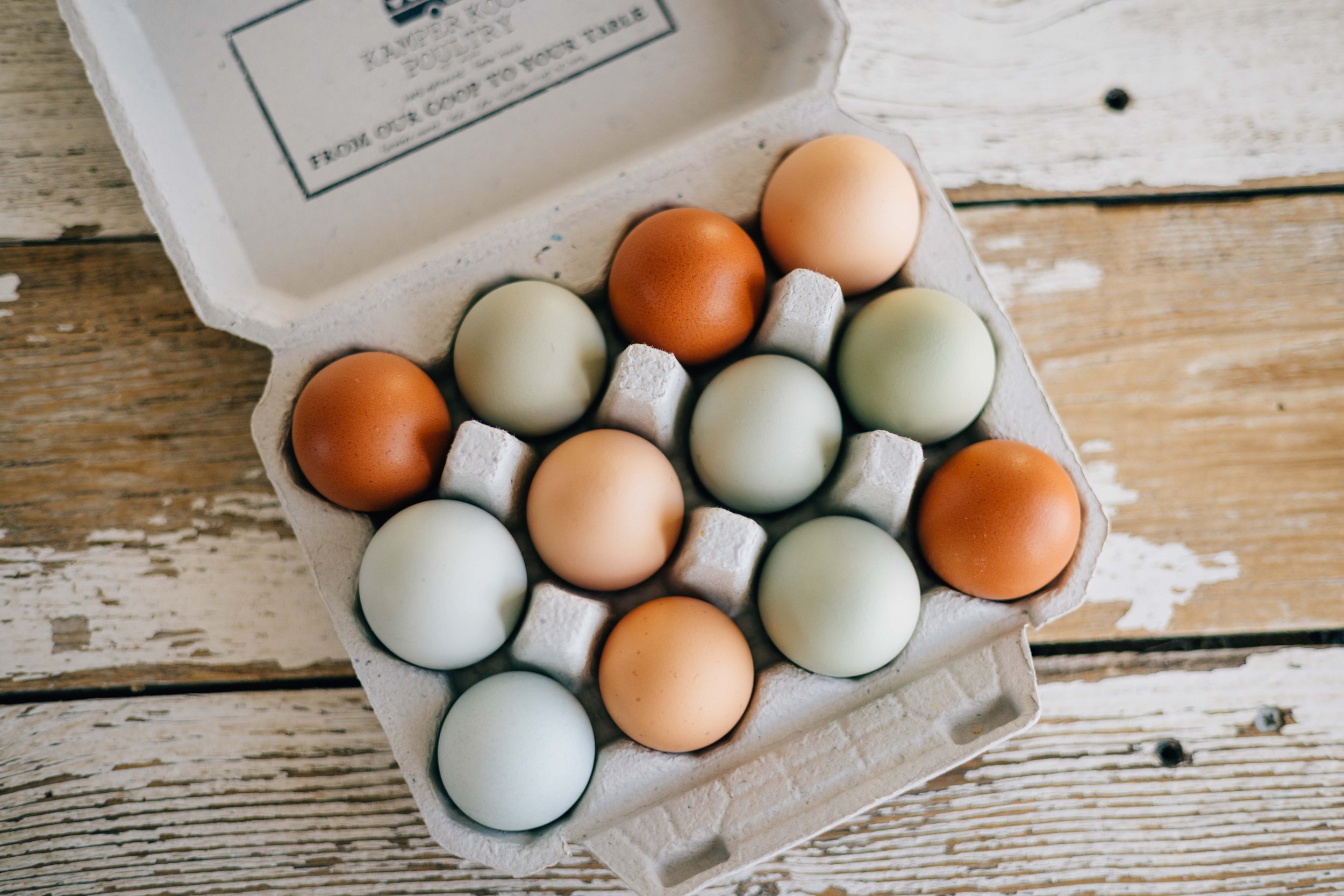 Kamper Koop Poultry Grace Idaho-3815.jpg