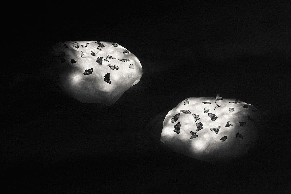 Entropy_Image_04_Two-Worlds-Final.jpg